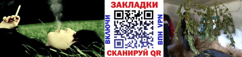 Гашиш Дубна