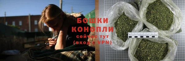 стаф Каменка