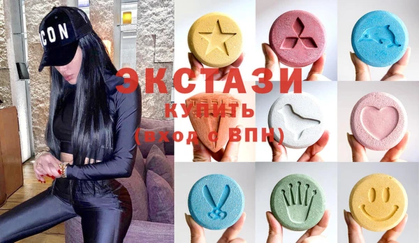 стаф Каменка