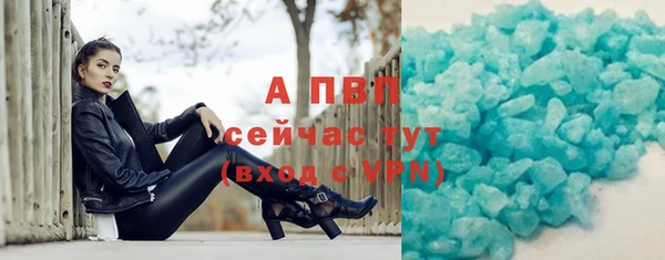 стаф Каменка