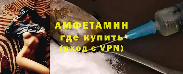 стаф Каменка