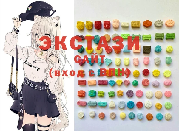 стаф Каменка