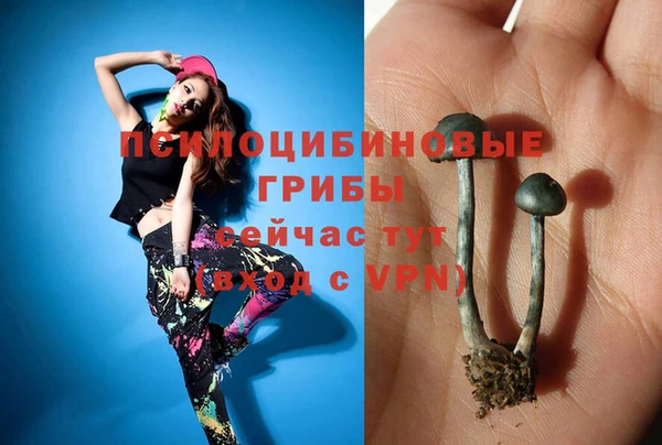 гидропоника Каменск-Шахтинский