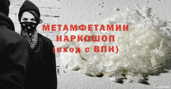 стаф Каменка