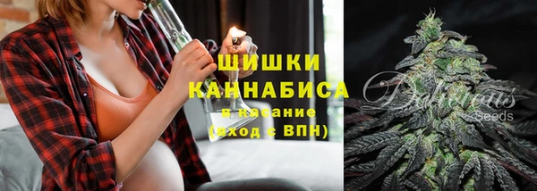 стаф Каменка