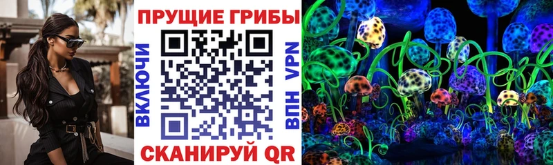 Купить закладки Дубна Псилоцибиновые грибы ЛСД